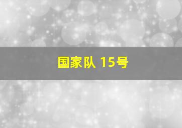 国家队 15号